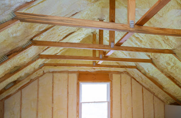 Professional Insulation Contractor in Dunbar, SC