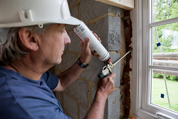 Best Specialized Insulation Services in Dunbar, SC