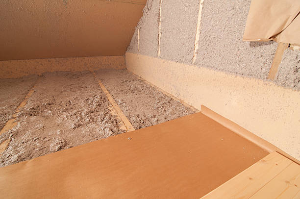 Types of Insulation We Offer in Dunbar, SC